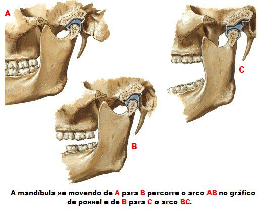 Dr José Antônio de Carvalho Soares - 🌐Importantíssimo osso do corpo  humano, o maxilar (mandíbula) precisa ser estudado com atenção anatomia.  🌐O que é o maxilar (mandíbula)? 🌐Também chamado de maxila ou